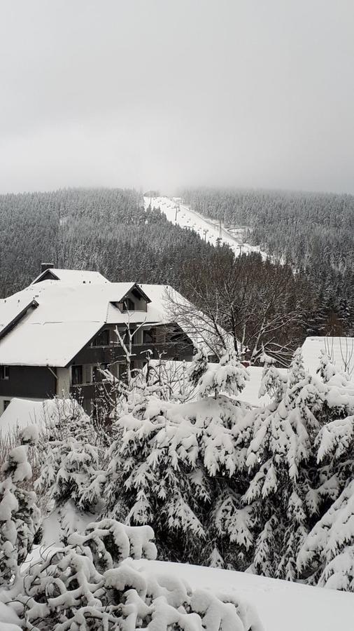 Ferienwohnung Steffens Hahnenklee Wohnung 25 Goslar Kültér fotó